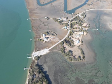 2421 Sol Legare Road in Charleston, SC -- a rare +/-4.267 gross - photo 4