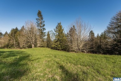 Ready to build 1.25 acre land parcel on Ravens Ridge Road - photo 14