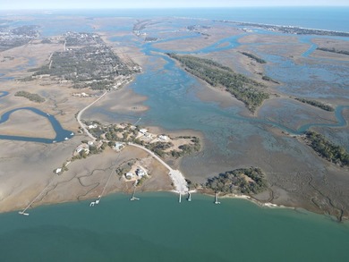 2421 Sol Legare Road in Charleston, SC -- a rare +/-4.267 gross - photo 5