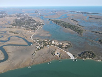 2421 Sol Legare Road in Charleston, SC -- a rare +/-4.267 gross - photo 6
