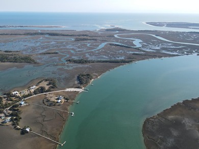 2421 Sol Legare Road in Charleston, SC -- a rare +/-4.267 gross - photo 7