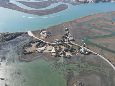 2421 Sol Legare Road in Charleston, SC -- a rare +/-4.267 gross - photo 9