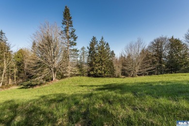 Ready to build 1.25 acre land parcel on Ravens Ridge Road - photo 19