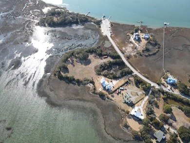 2421 Sol Legare Road in Charleston, SC -- a rare +/-4.267 gross - photo 10