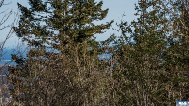 Ready to build 1.25 acre land parcel on Ravens Ridge Road - photo 20