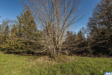 Ready to build 1.25 acre land parcel on Ravens Ridge Road - photo 22