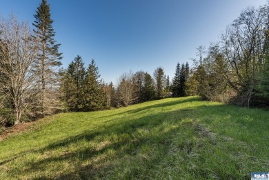 Ready to build 1.25 acre land parcel on Ravens Ridge Road - photo 23