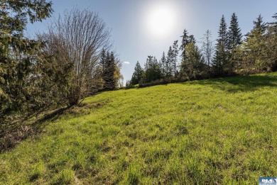 Ready to build 1.25 acre land parcel on Ravens Ridge Road - photo 27