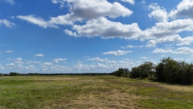 Cleared 20 ac tract ready for your country living dream retreat - photo 30