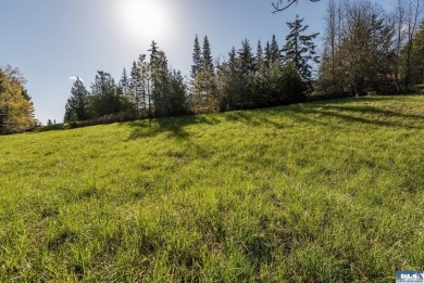 Ready to build 1.25 acre land parcel on Ravens Ridge Road - photo 28