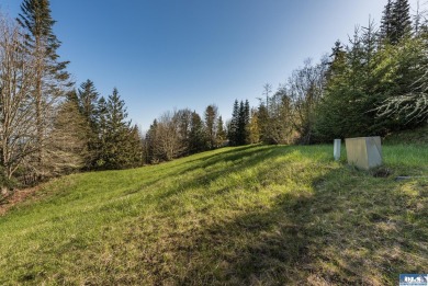 Ready to build 1.25 acre land parcel on Ravens Ridge Road - photo 31