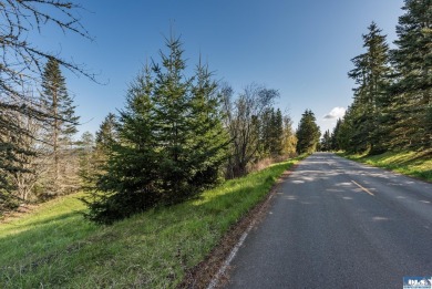 Ready to build 1.25 acre land parcel on Ravens Ridge Road - photo 33
