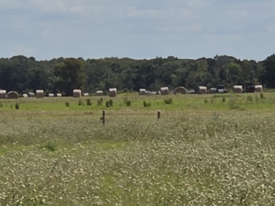 Cleared 20 ac tract ready for your country living dream retreat - photo 13