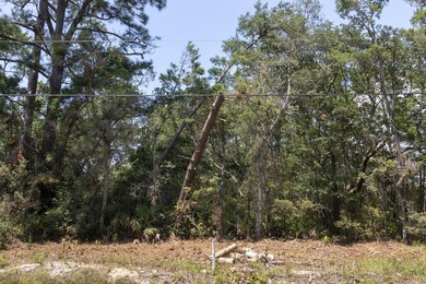 Your Coastal Dream Home in Point Washington awaits! Nestled in - photo 1