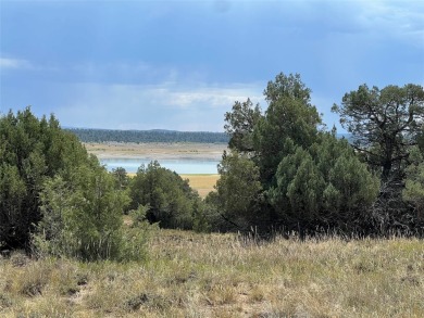 Lake Acreage For Sale in Los Ojos, New Mexico