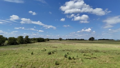 Cleared 20 ac tract ready for your country living dream retreat - photo 6