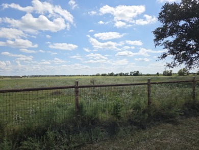Cleared 20 ac tract ready for your country living dream retreat - photo 20