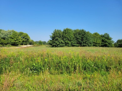 Apple Canyon Lake Lot For Sale in Apple River Illinois
