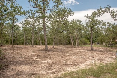 Lake Lot For Sale in Somerville, Texas