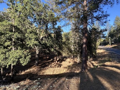 11,480 sq ft residential lot in the Pine Mountain Lake area of - photo 3