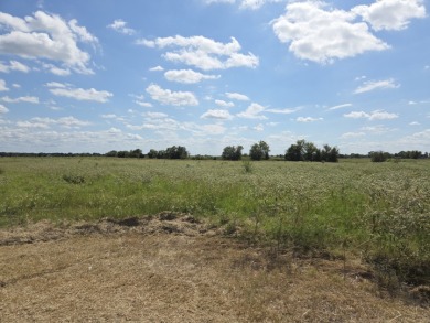 Cleared 20 ac tract ready for your country living dream retreat - photo 2