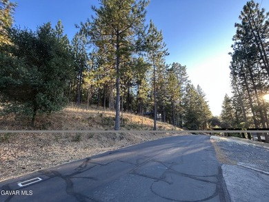 18,464 sq ft lot in the Pine Mountain Lake subdivision area of - photo 3