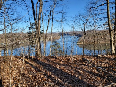 Magnificent View of Wolf River Dock and Dale Hollow Lake. Joins - photo 3