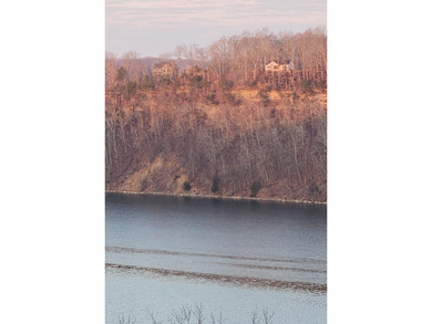 Magnificent View of Wolf River Dock and Dale Hollow Lake. Joins - photo 4