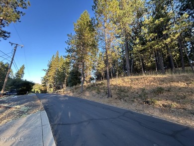 18,464 sq ft lot in the Pine Mountain Lake subdivision area of - photo 5