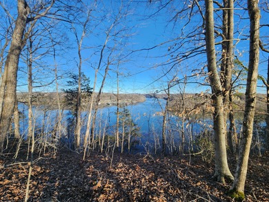Magnificent View of Wolf River Dock and Dale Hollow Lake. Joins - photo 5