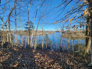 Magnificent View of Wolf River Dock and Dale Hollow Lake. Joins - photo 6