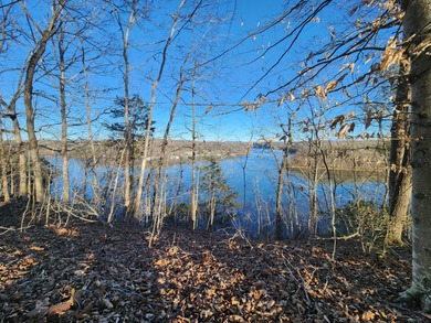 Magnificent View of Wolf River Dock and Dale Hollow Lake. Joins - photo 7