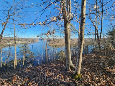 Magnificent View of Wolf River Dock and Dale Hollow Lake. Joins - photo 8