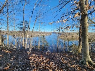 Magnificent View of Wolf River Dock and Dale Hollow Lake. Joins - photo 9