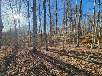 Magnificent View of Wolf River Dock and Dale Hollow Lake. Joins - photo 10