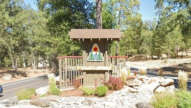 18,479 sq ft residential lot in the Pine Mountain Lake area of - photo 1