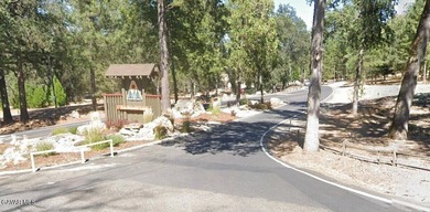 18,479 sq ft residential lot in the Pine Mountain Lake area of - photo 2