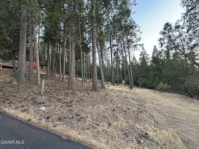 18,479 sq ft residential lot in the Pine Mountain Lake area of - photo 7