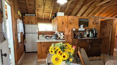 Looking for your summer getaway? This charming 3 bedroom, 1 bath - photo 9