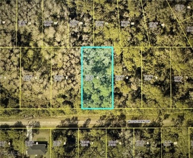 Lehigh Acres Area Lot For Sale in Lehigh Acres Florida