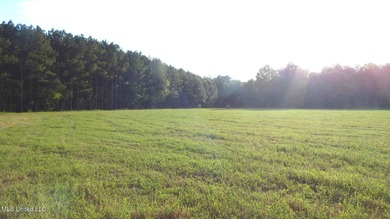 (private lake, pond, creek) Acreage For Sale in Bruce Mississippi