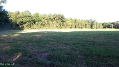 (private lake, pond, creek) Acreage For Sale in Bruce Mississippi