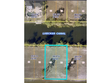 Beautiful vacant lot located in a quiet neighborhood surrounded - photo 2