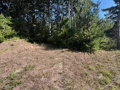 Great lot to build your dream home on! It's in the desired - photo 4