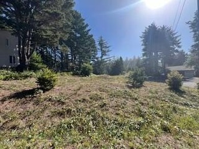 Great lot to build your dream home on! It's in the desired - photo 6
