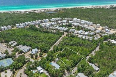 NO HOA AND OVER A HALF ACRE LOT! Bordered by lush vegetation and - photo 2