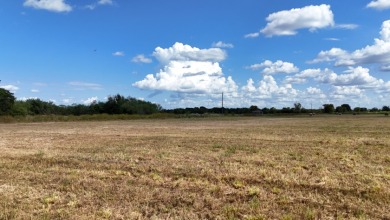 Excellent Commercial investment with prime location on Hwy 287 - photo 6