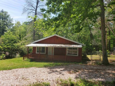 Come Drift Right into the Lake Life! - Lake Home For Sale in Hemphill, Texas