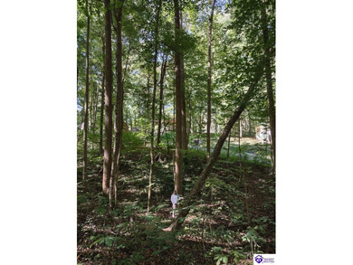 Lake Lot For Sale in Scottsville, Kentucky