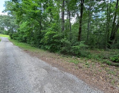 Toledo Bend Lake Acreage For Sale in Hemphill Texas